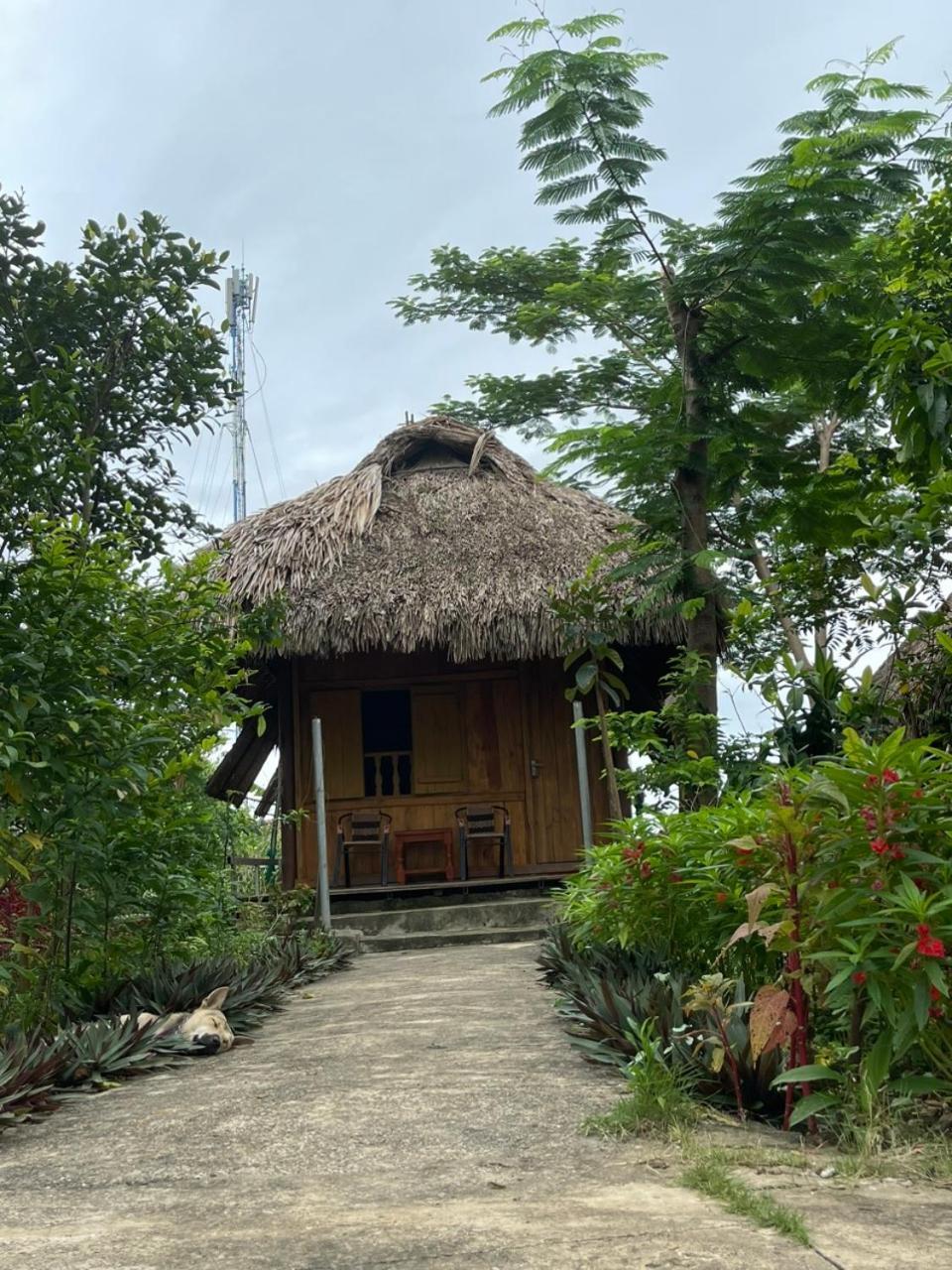 Cuc Phuong Bungalow Nho Quan Экстерьер фото